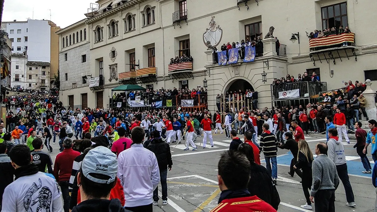 fiestas-patronales-purisima-ontinyent-8.jpg